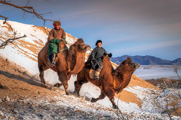 [Day 2] Bactrian Camel Riding Experience 🐫