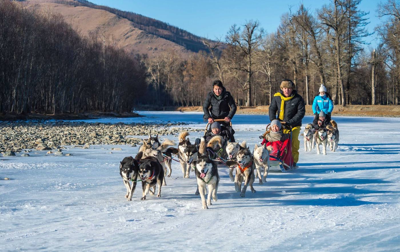 [Day 3] Dog Sledding Experience 🐕🛷❄️