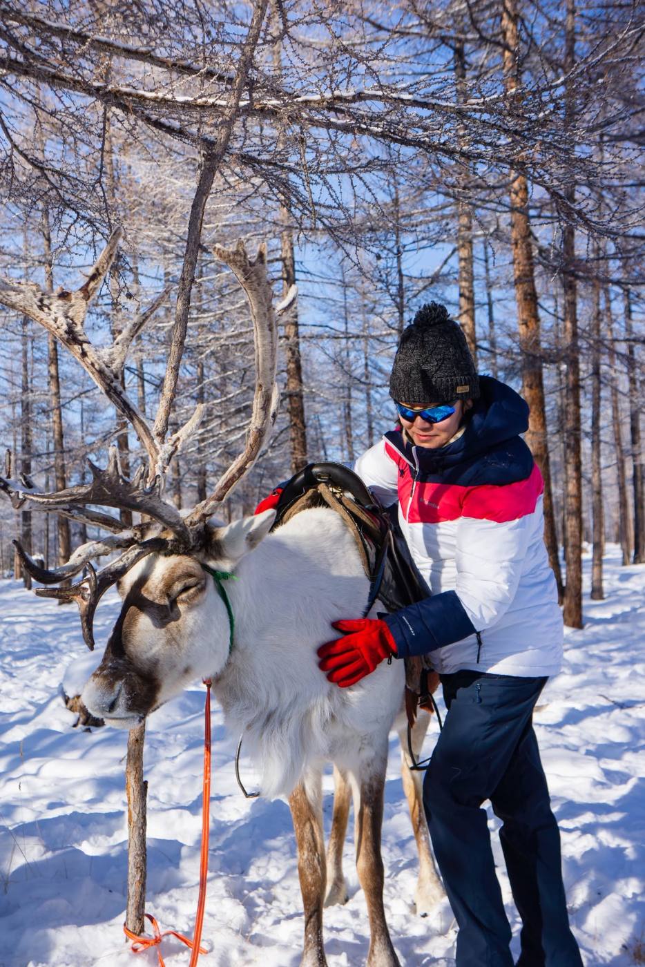 Visit a Tsaatan Reindeer Family in Renchinlkhumbe